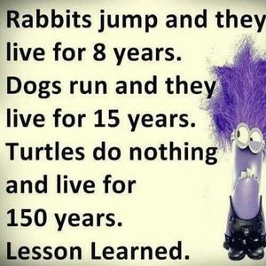 Meet your Posher, Elise